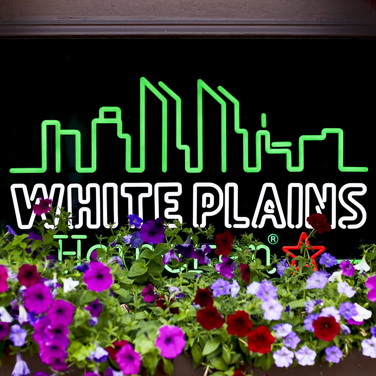 Dunne's Pub Food Menu White Plains, NY